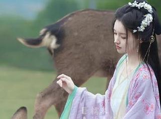 ncyy51.com苹果版：今日份的爆料，让我突然觉得我也可以当个八卦大师！