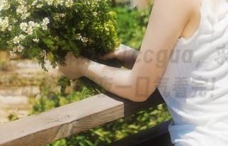 资源无限的51ccgua，求求你不要让我在深夜一口气看完！