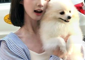你在51吃瓜的资源里找乐子，全网吵吵嚷嚷，心情大起伏！