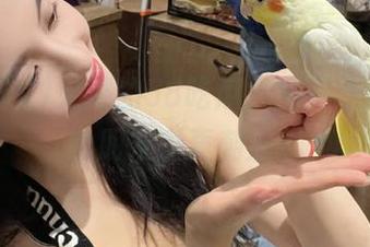 火爆的58吃瓜，免费吃瓜还能比朋友圈更刺激？