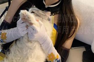 这也算是解压法?打开www.tttzzz.com,安卓用户的快乐时光来了!